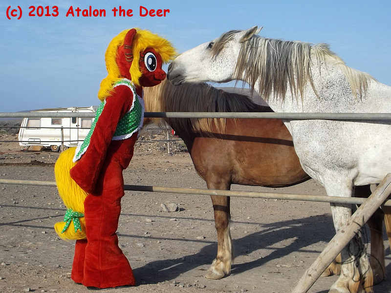 [Bild: mlp_pony_meets_horse_01_by_atalonthedeer-d68h329.jpg]