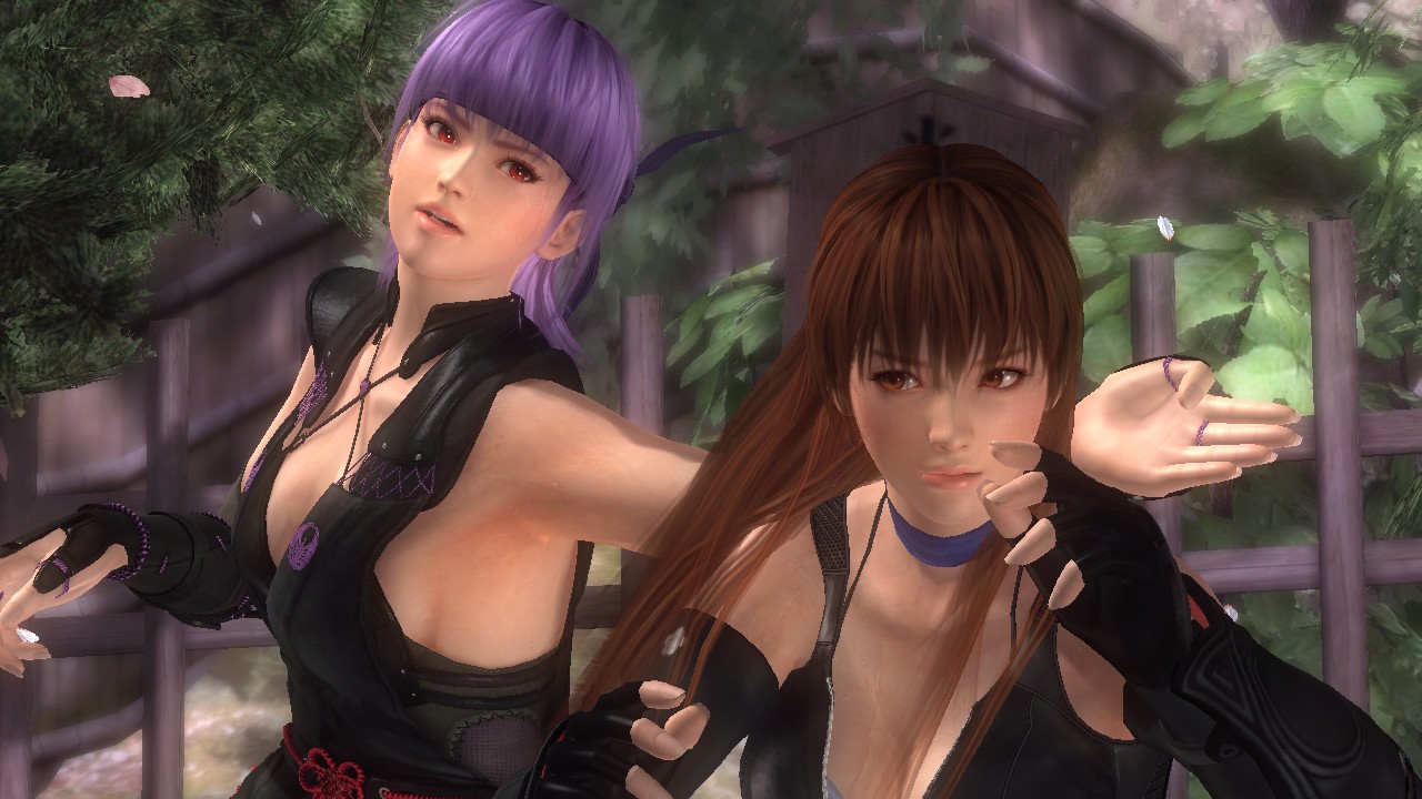 kasumi_and_ayane_by_doafanboi-d6hn3pc.jpg