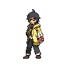 trainer_by_polloron-d8bj0rt.png