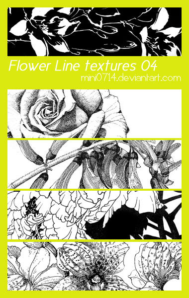 http://fc01.deviantart.net/fs71/i/2010/062/f/b/Flower_Line_textures_04_by_mini0714.jpg