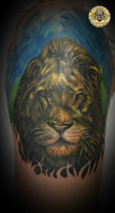 Lion Tattoos on Lion Tattoos