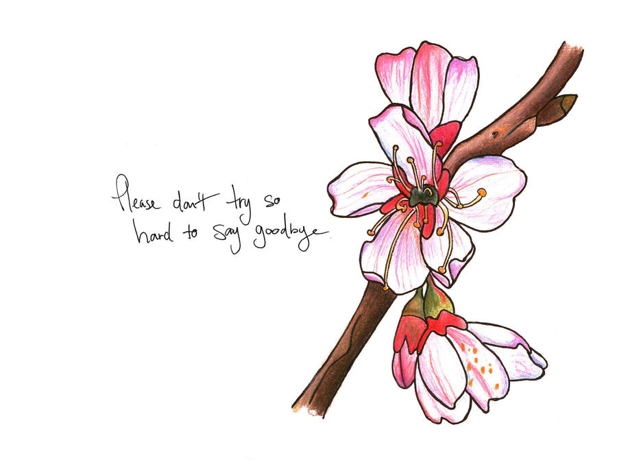 Cherry Blossom | Flower Tattoo