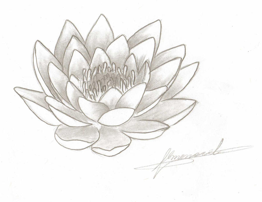lotus | Flower Tattoo