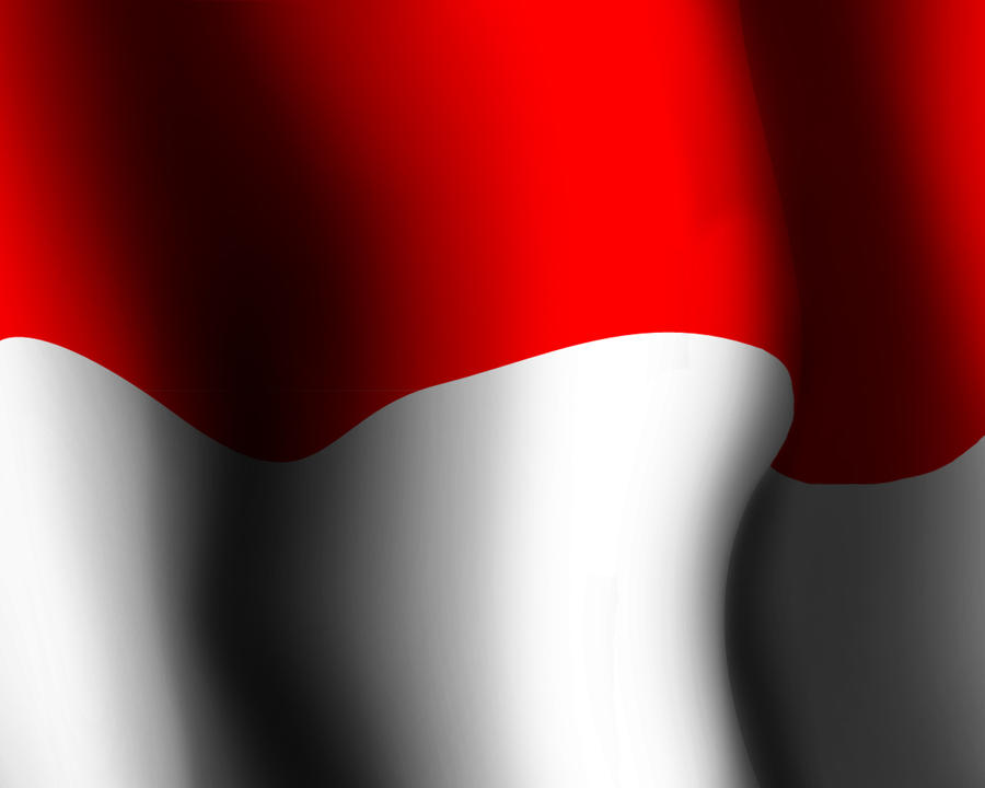 indonesian flag 2011. indonesia flag icon.