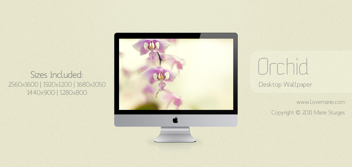 Orchid wallpaper for Windows 7 desktop