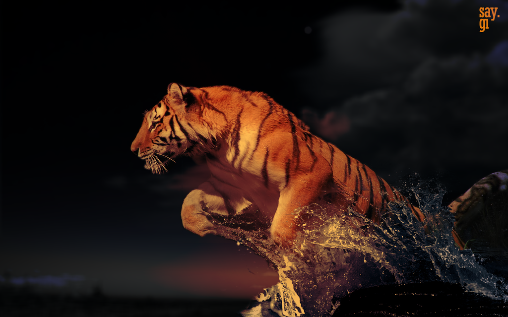 [Immagine: powerful_tiger_in_water_by_thesaygi-d4sifof.png]
