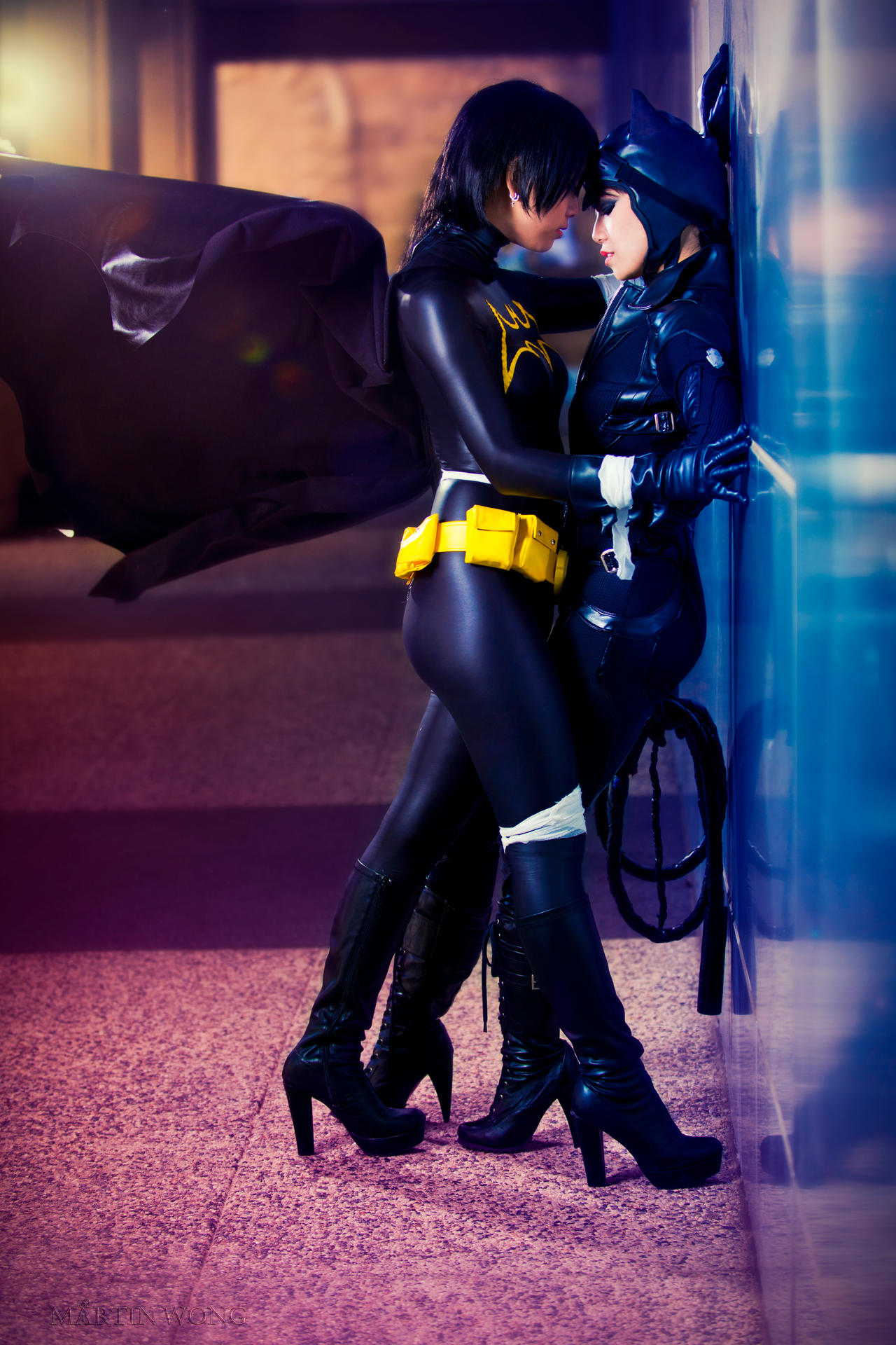Batgirl x Catwoman by henflay on DeviantArt
