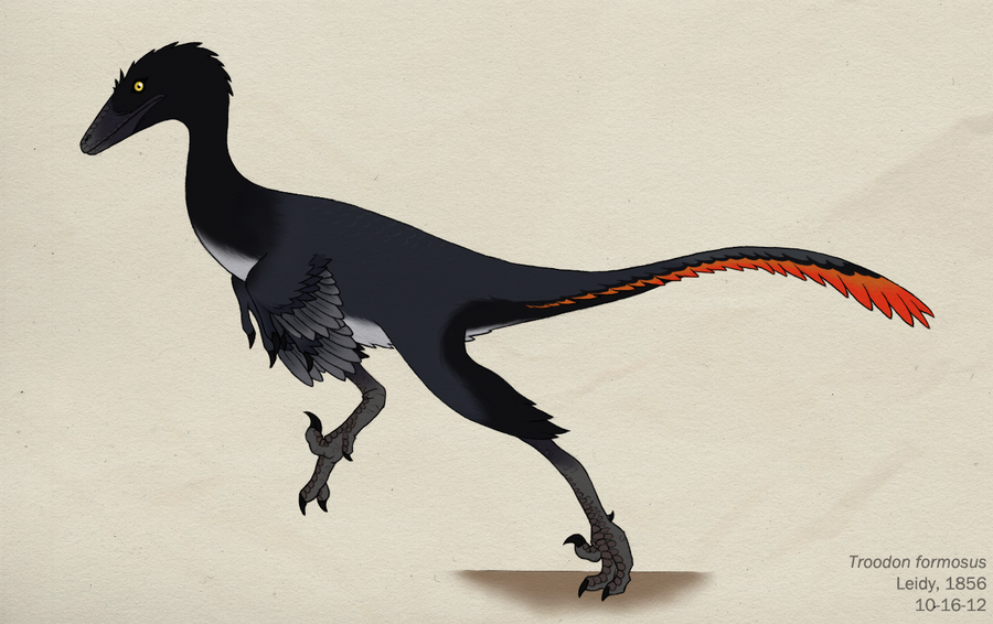 080__troodon_formosus_by_green_mamba-d5i4vrk.png