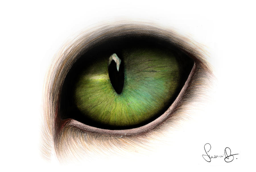 Green Cat Eyes Drawing