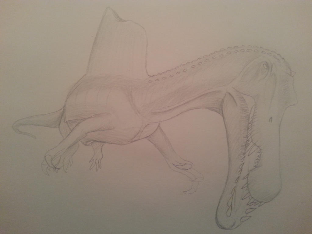 the_new_spinosaurus_by_spinosaurus1-d802anz.jpg
