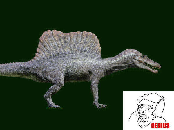 spinosaurus__if_it_were_accurate_by_fredthedinosaurman-d80ba1w.jpg
