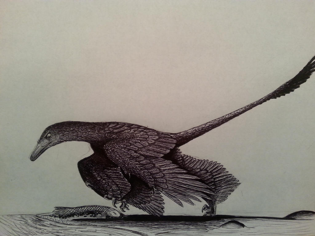 microraptor_gui_by_spinosaurus1-d87npa5.jpg