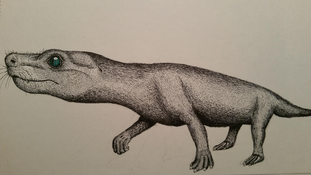 neocynodon_hypocola_by_spinosaurus1-d8ceerh.jpg