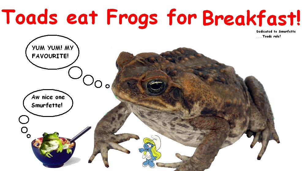 Toads_are_better_than_Frogs_by_StaceyBabylady.jpg
