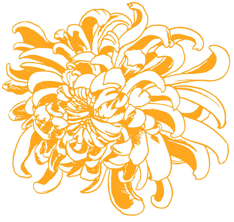 clip art chrysanthemum flowers - photo #43