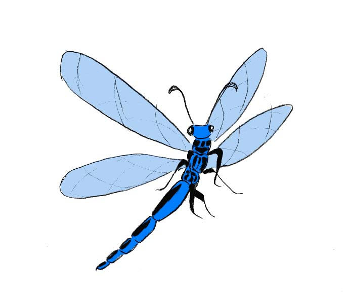 Dragonfly Tattoo - dragonfly tattoo