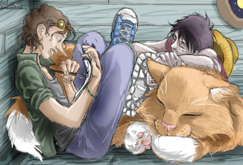 Usopp__Luffy_and_a_large_cat.jpg