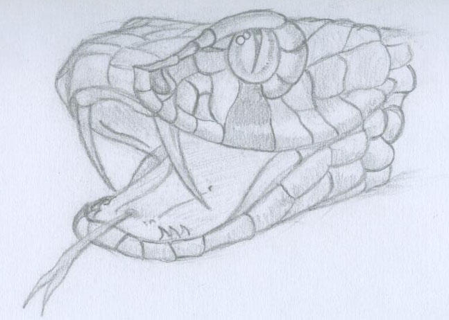 Snake Head by asyrill on deviantART