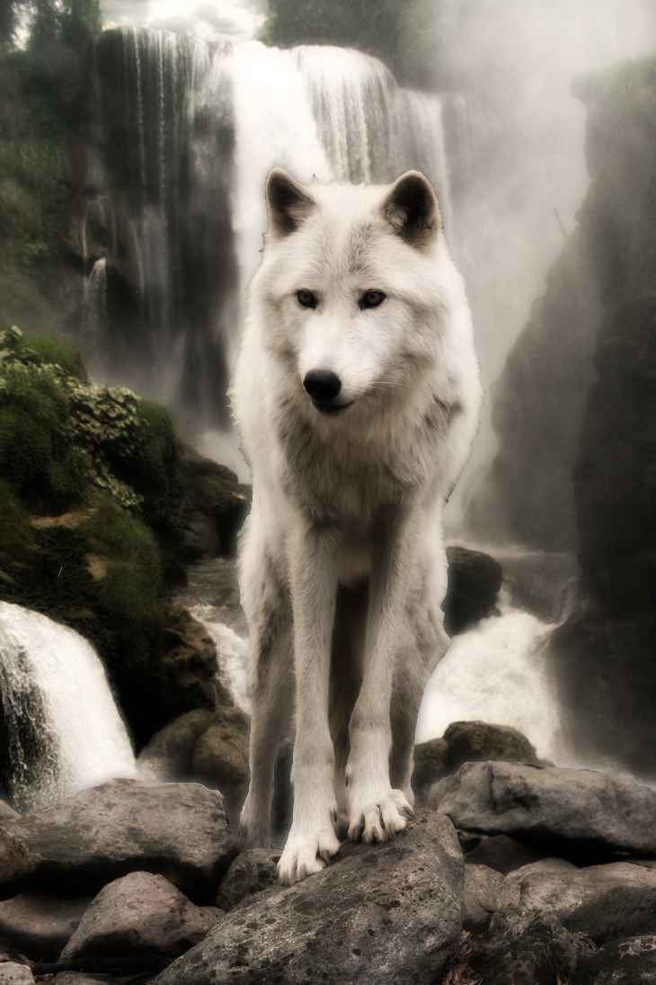noble wolf