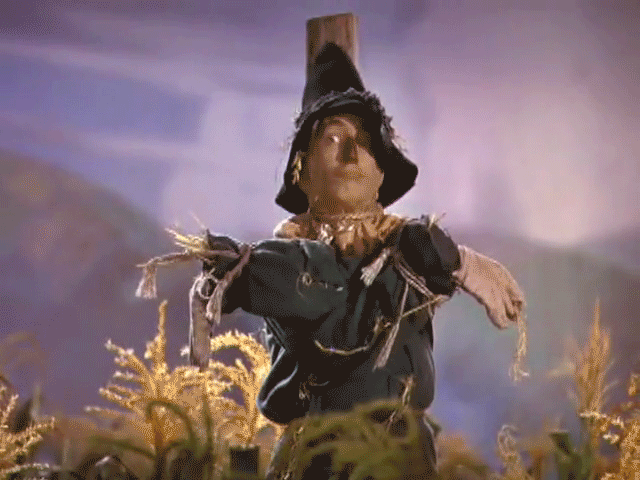 Image result for dancing scarecrow gif