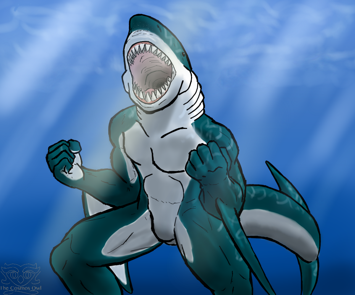 order_the_megalodon_by_thecosmosowl-dbr