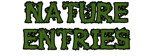 nature_entries_by_notched_stag-d6s9n5i.png