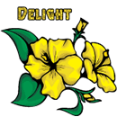 Delight by KmyGraphic