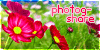 Photog-Share-GI-Contest-1 by Shiro-Redfield
