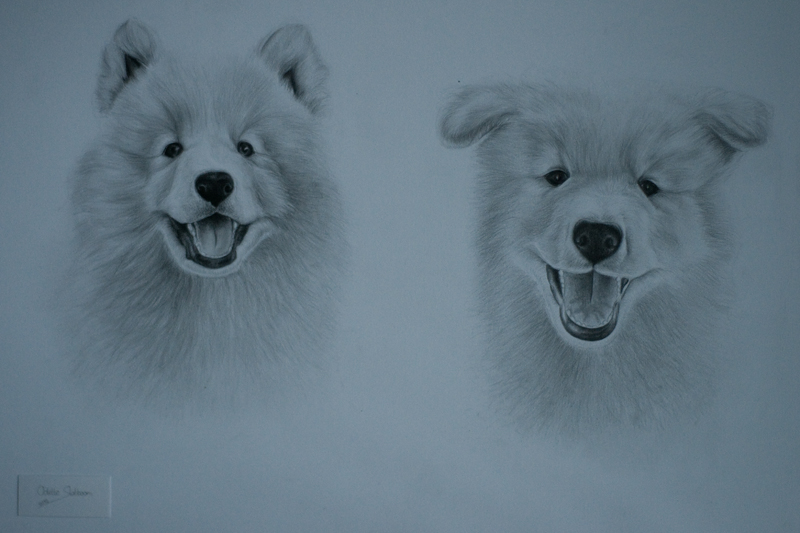 Wonderbaarlijk Mijn eerste tekeningen van honden! - SchilderenEnzo BJ-85