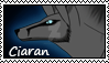 006Ciaran Stamp by EncounterEthereal