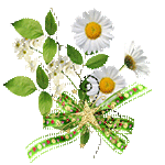Daisies by KmyGraphic
