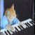 Emote-the keyboard cat