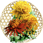 Chrysanthemums in Autumn by KmyGraphic