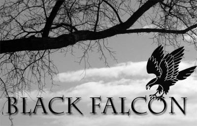 BlackFalconID_by_Black_Falcon